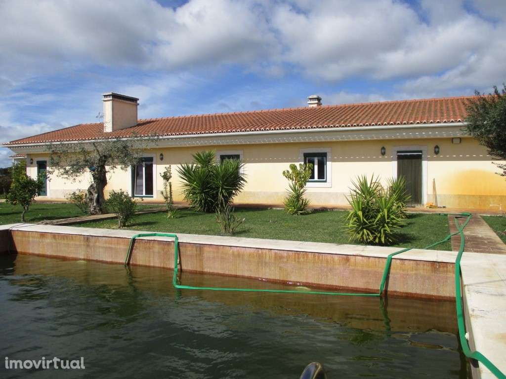 Monte Alentejano com 2,5 ha de vinha - Estremoz - Grande imagem: 3/33