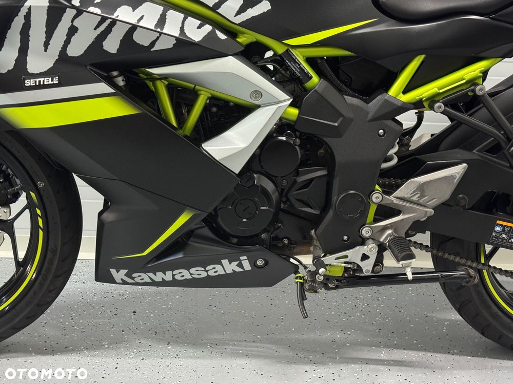 Kawasaki Ninja - 21