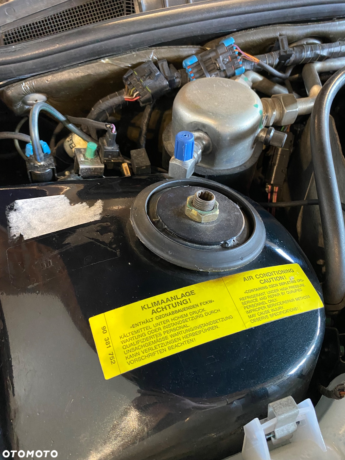 Lotus Inny - 32