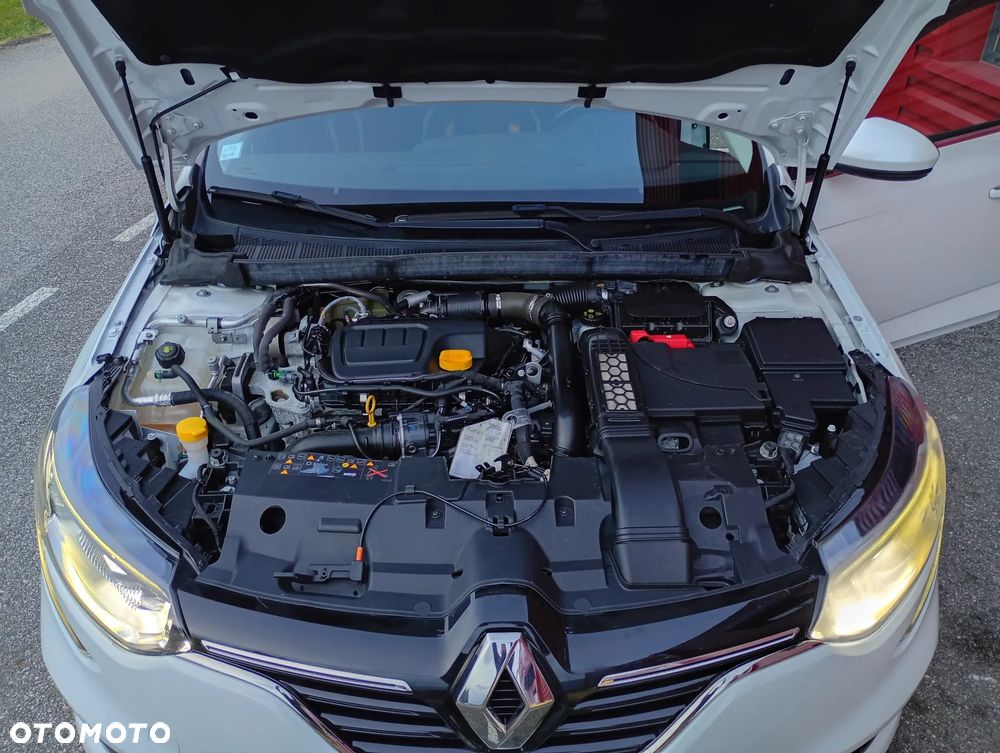 Renault Megane - 18