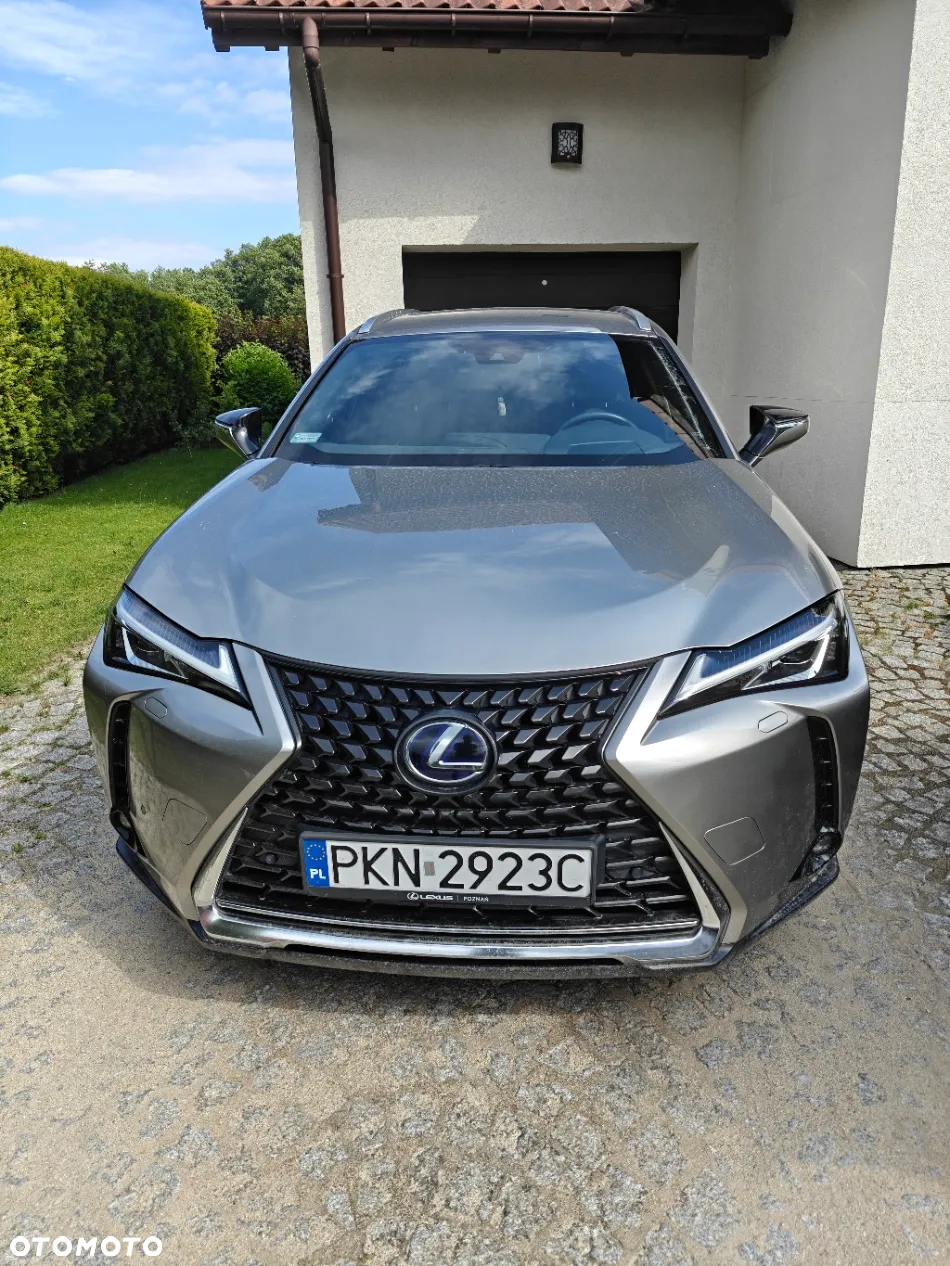 Lexus UX 250h Elegance 2WD - 4
