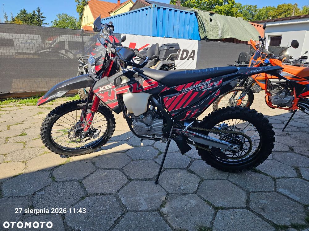 Diabolini Inny - 5
