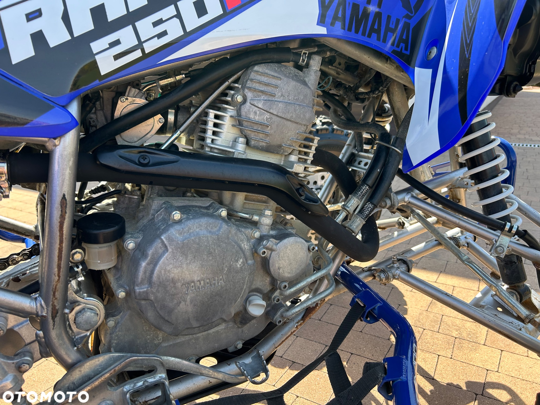 Yamaha Raptor - 16