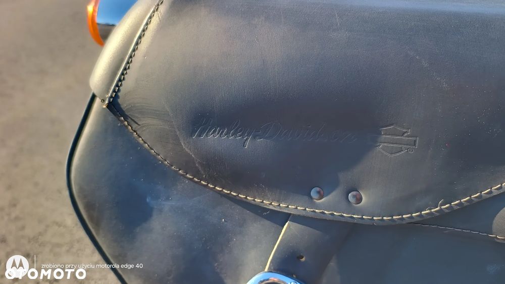 Harley-Davidson Softail Custom - 10