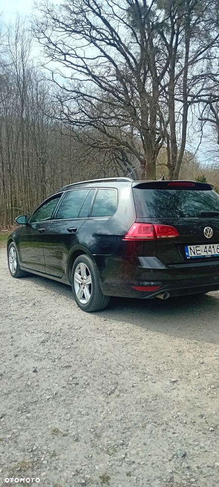 Volkswagen Golf - 5