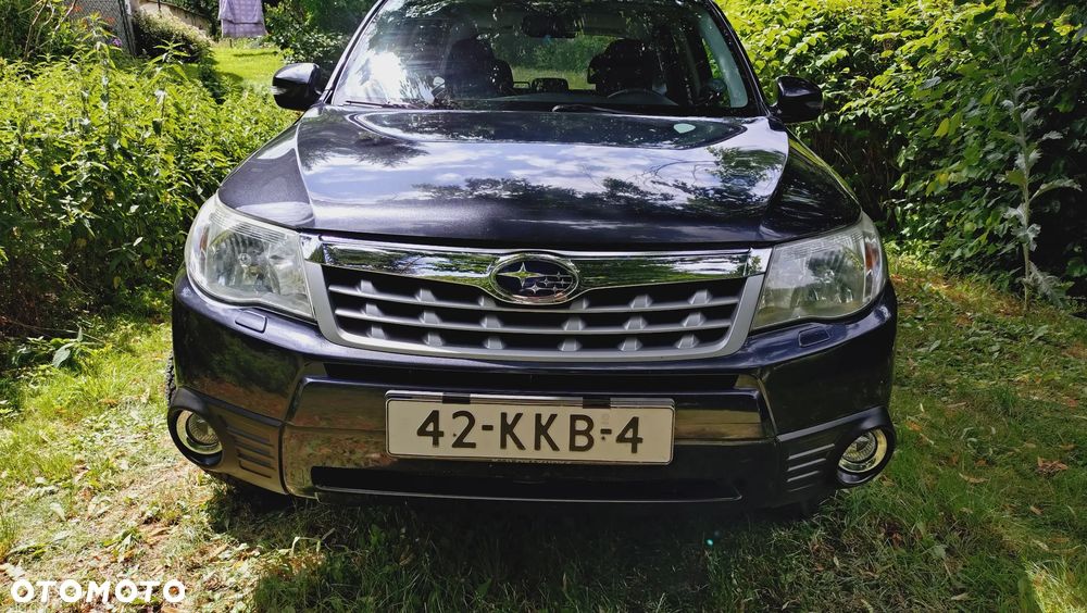 Subaru Forester 2.0X Automatik Comfort - 2