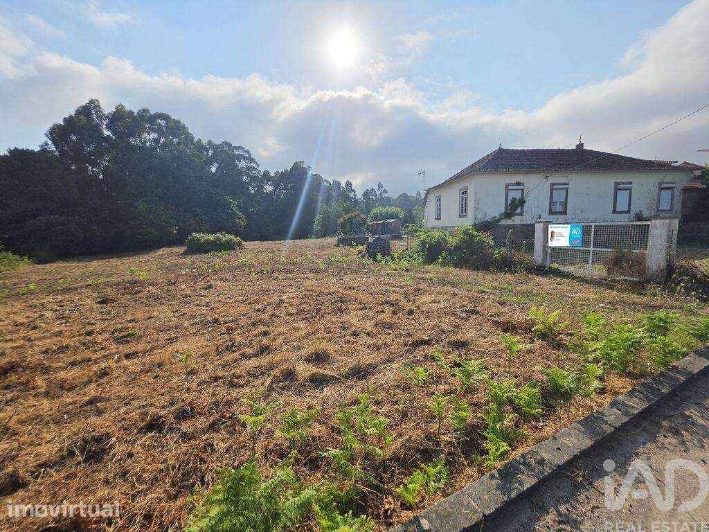 Casa de Campo T3 em Reboreda e Nogueira de 281 m2 - Grande imagem: 5/30