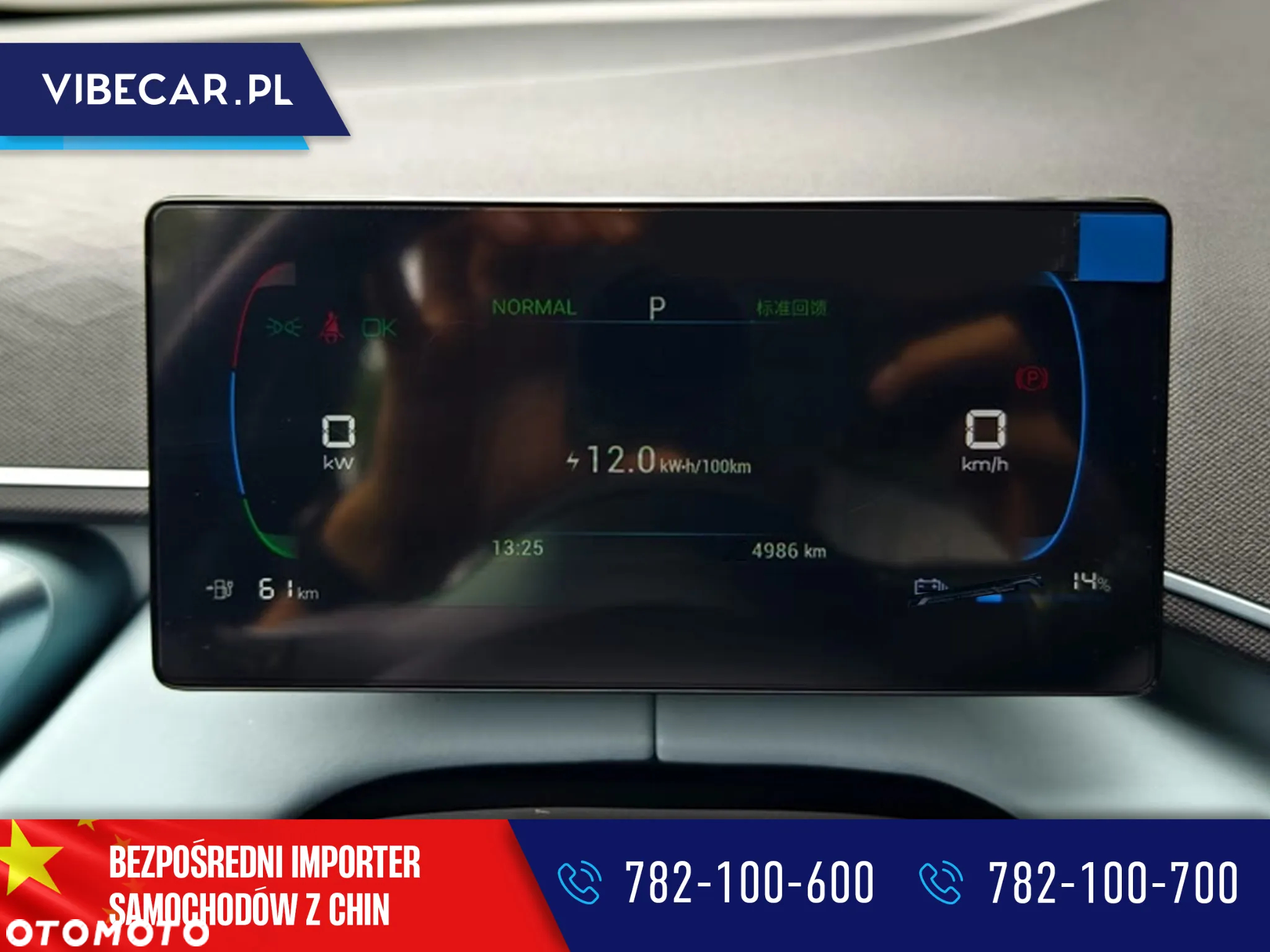 BYD Dolphin Surf - 8