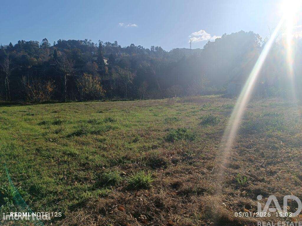 Terreno Agrícola em Paredes de Viadores e Manhuncelos - Grande imagem: 3/4