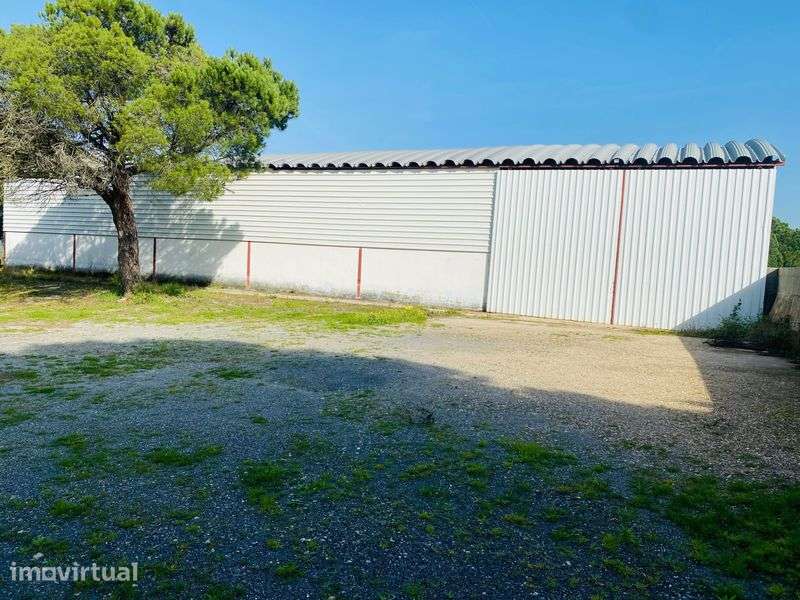 Arrendo pavilhões/eiras - Grande imagem: 2/8