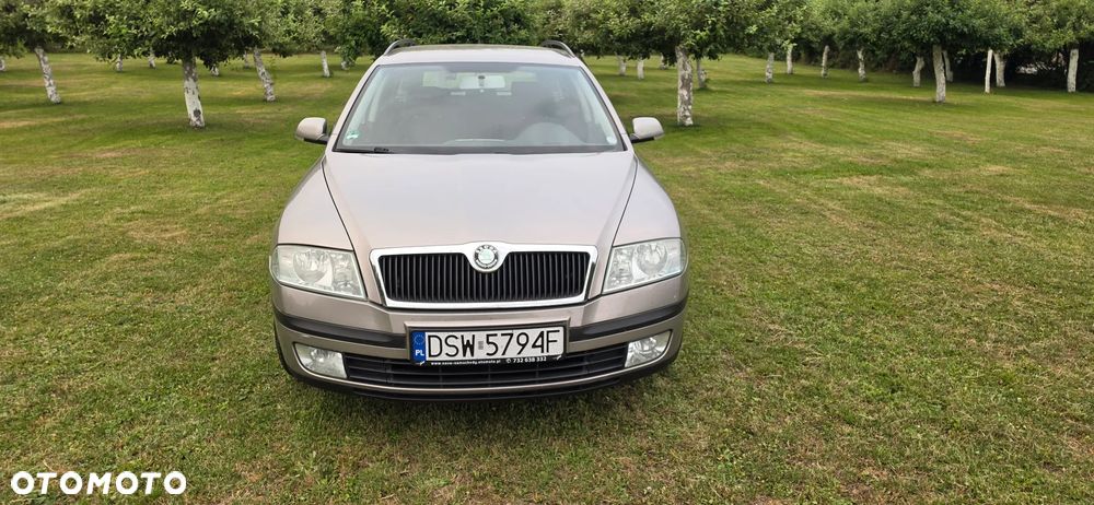 Skoda Octavia 1.9 TDI Elegance DSG - 7