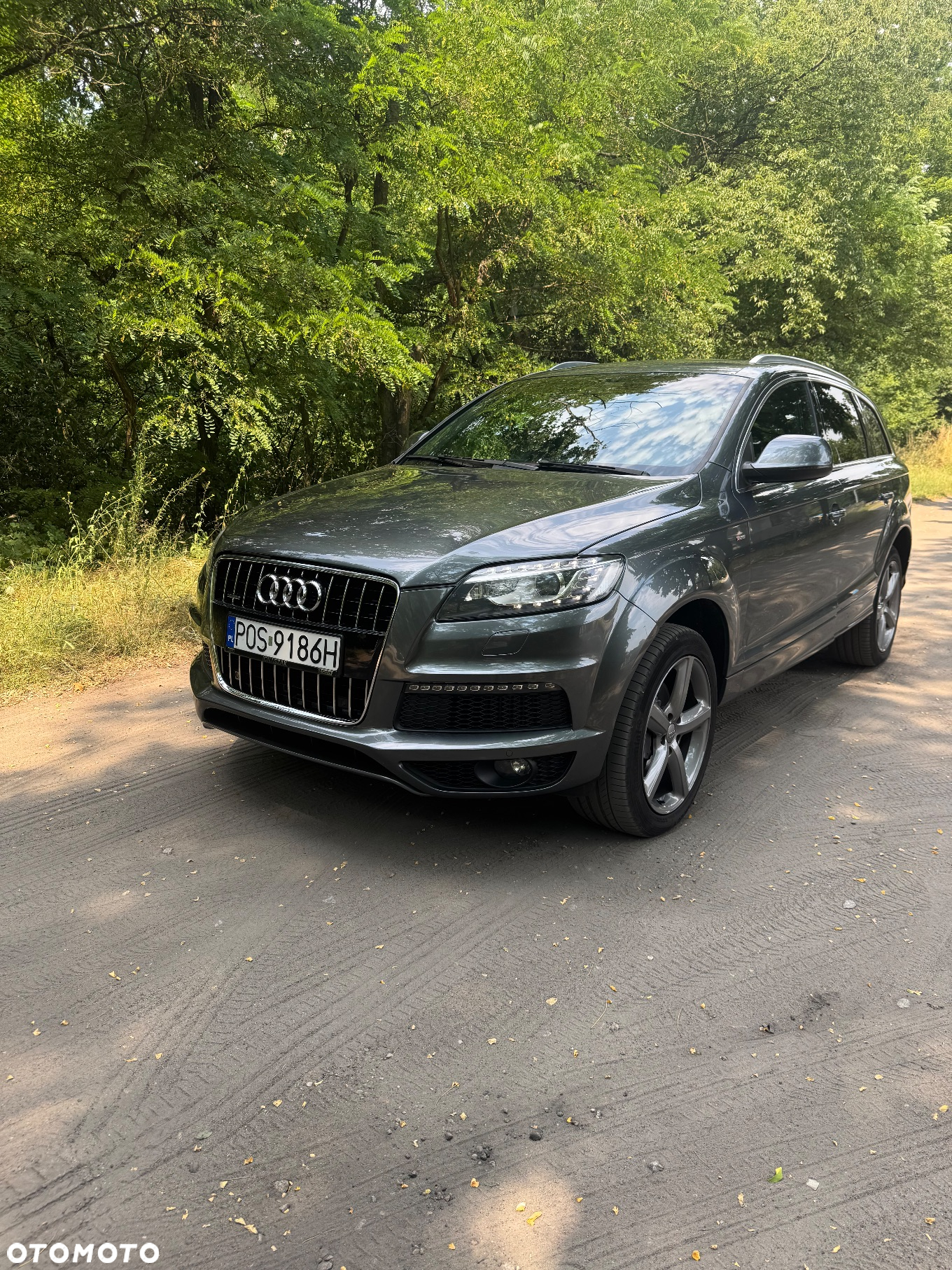 Audi Q7 3.0 TDI DPF Quattro Tiptronic - 22
