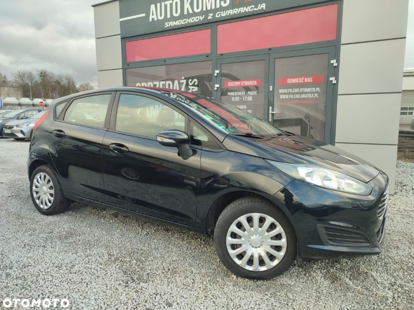 Ford Fiesta - 14