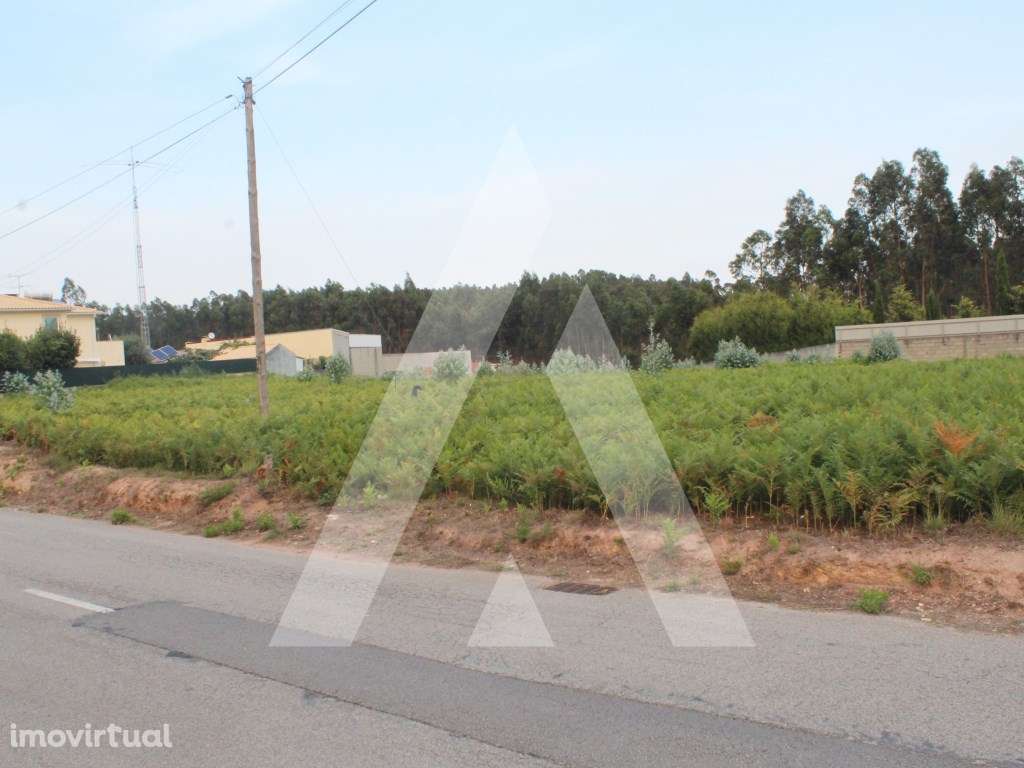 Terreno para construção na Senhora do Socorro - Albergaria-a-Velha - Grande imagem: 2/11