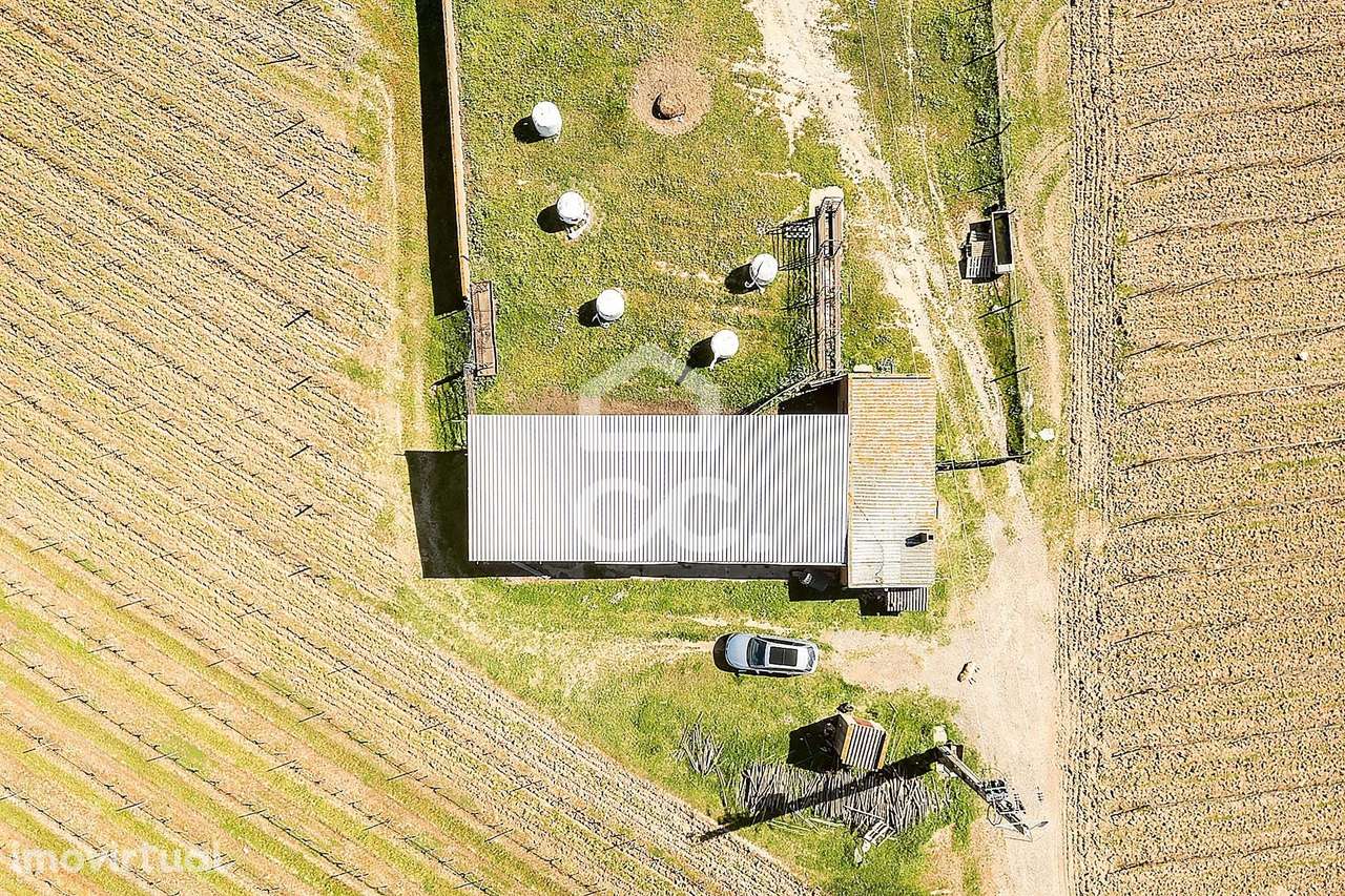 Herdade de 36 ha c/ Vinha, Montado, Recursos Hídricos e Potencial Turí - Grande imagem: 3/60