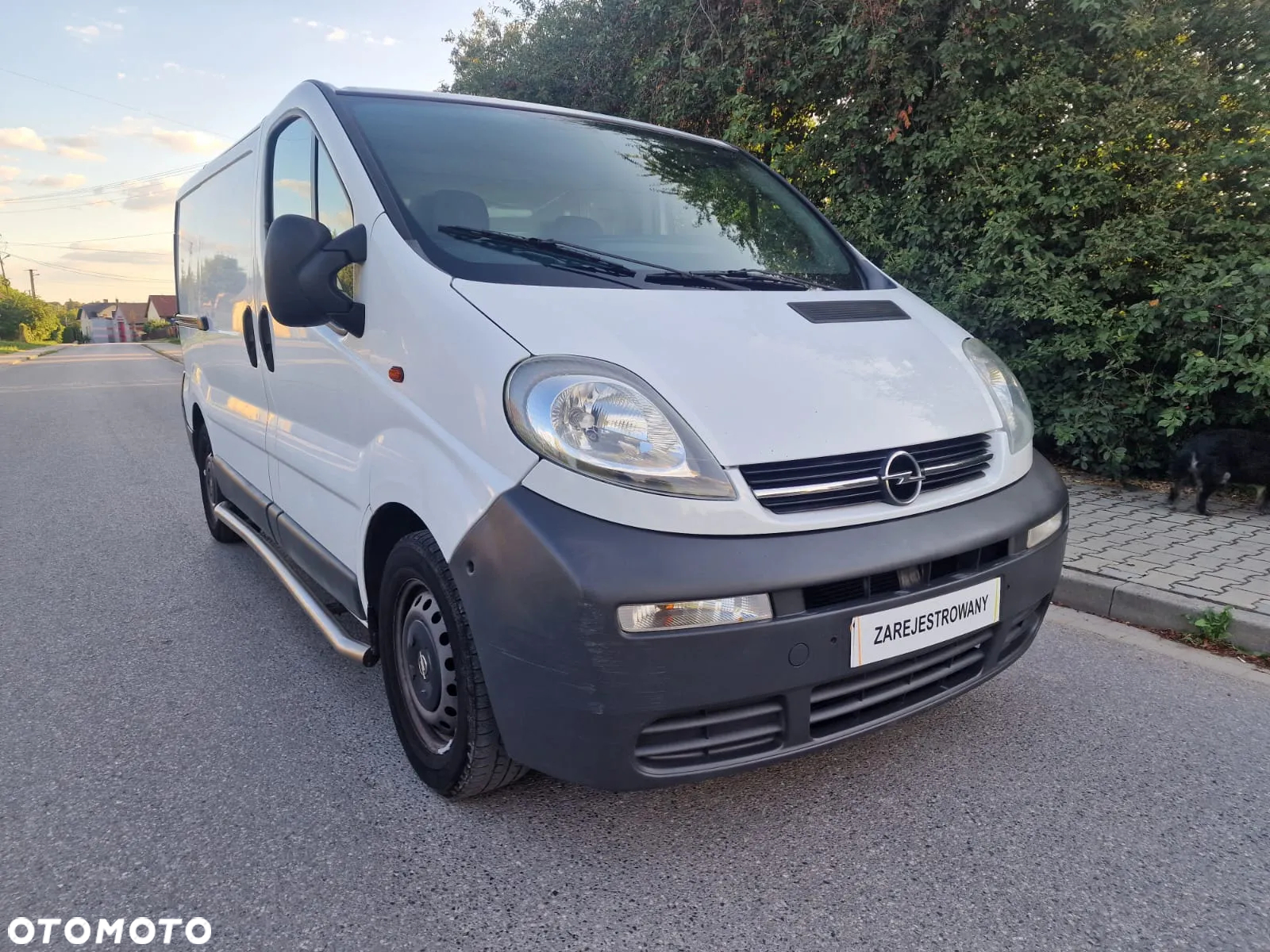 Opel VIVARO - 3