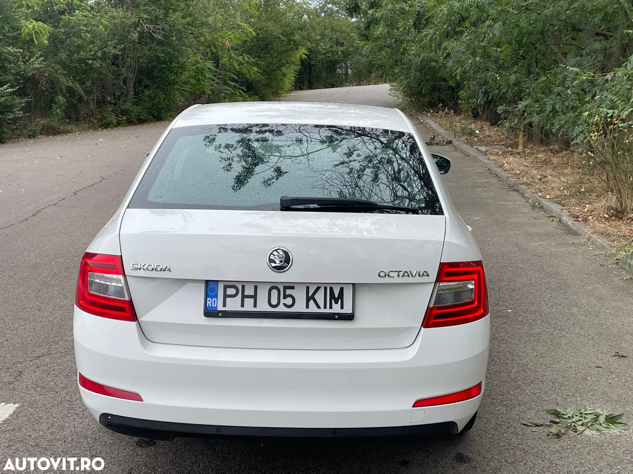 Skoda Octavia - 5