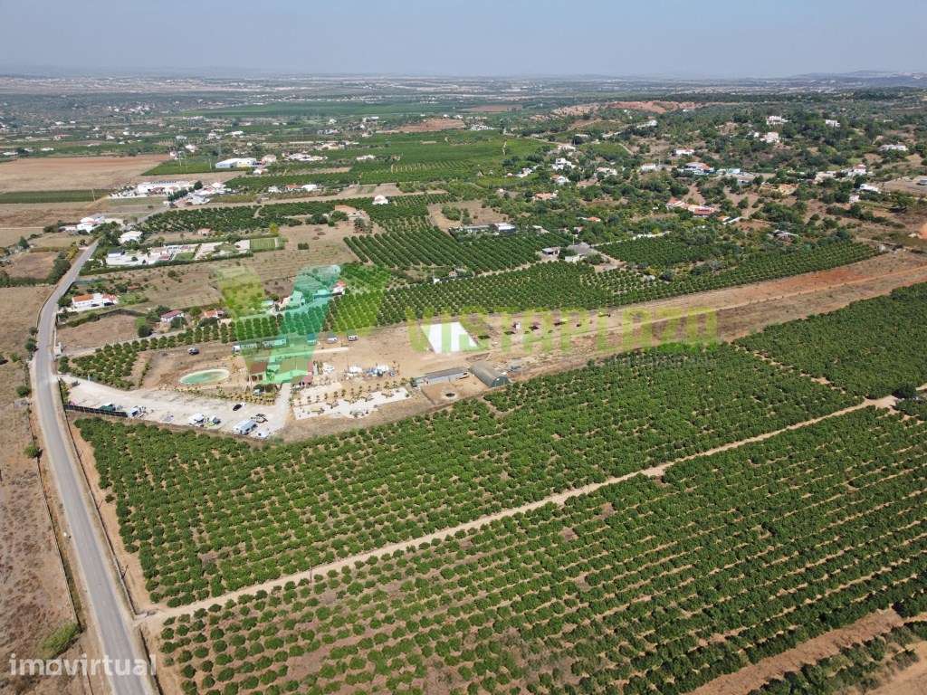 Propriedade Rural com 7 Hectares, Ruína e Citrinos Sobral/Algarve - Grande imagem: 4/22