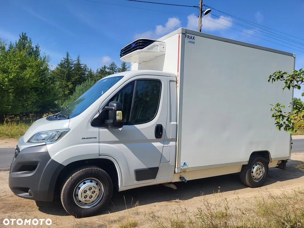 Fiat Ducato 2016r 2.3 JTD 130KM Izoterma Chłodnia Food Truck Sklep HAKI na mięso półki Mroźnia Agregat - 14