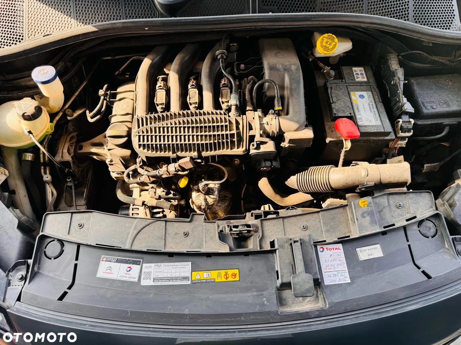 Citroën C4 Cactus 1.2 PureTech Shine EU6 - 10