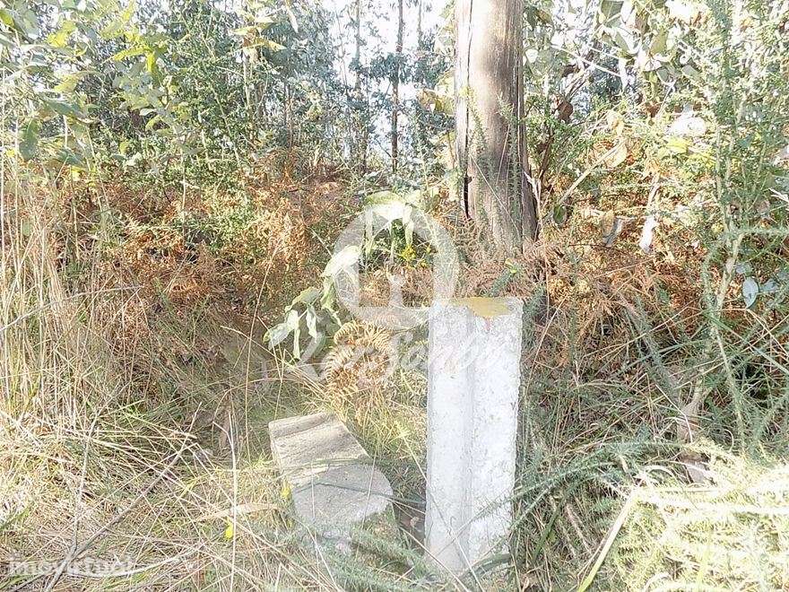 Terreno rústico com 6247m2 em Arnoso Sta. Eulália, Vila Nova Famali... - Grande imagem: 2/4