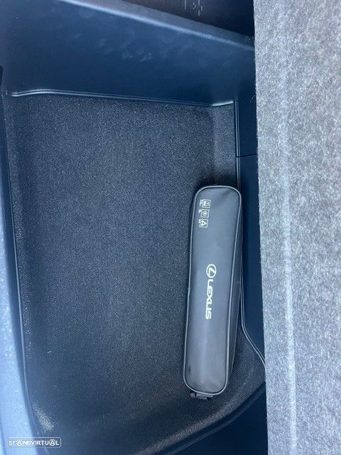 Lexus NX 300h Executive+ - 10