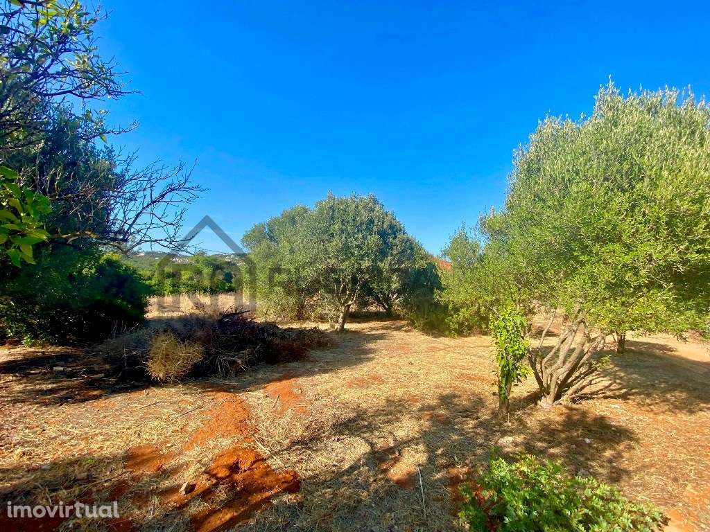 Terreno para construção de 10 moradias - Almancil - Grande imagem: 3/10