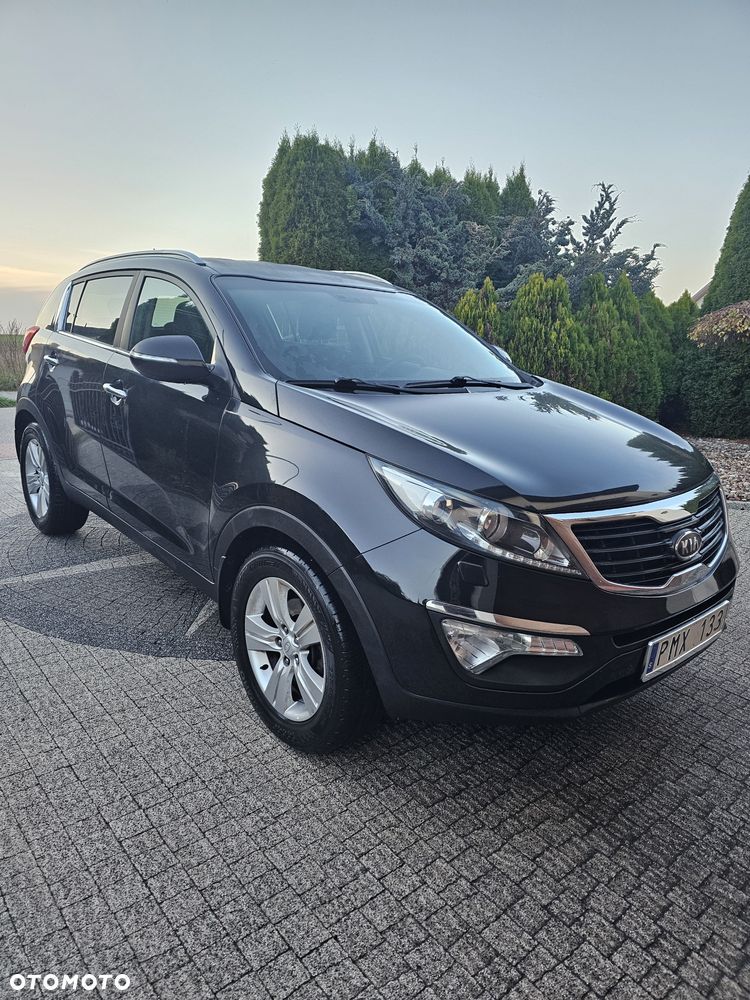 Kia Sportage - 1