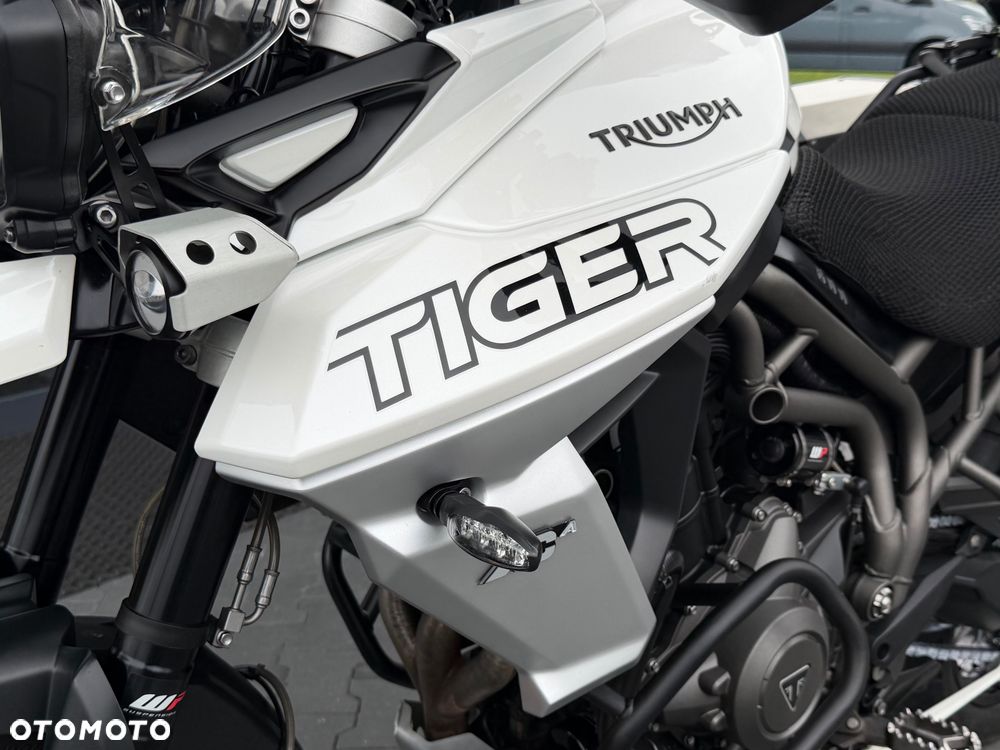 Triumph Tiger - 36