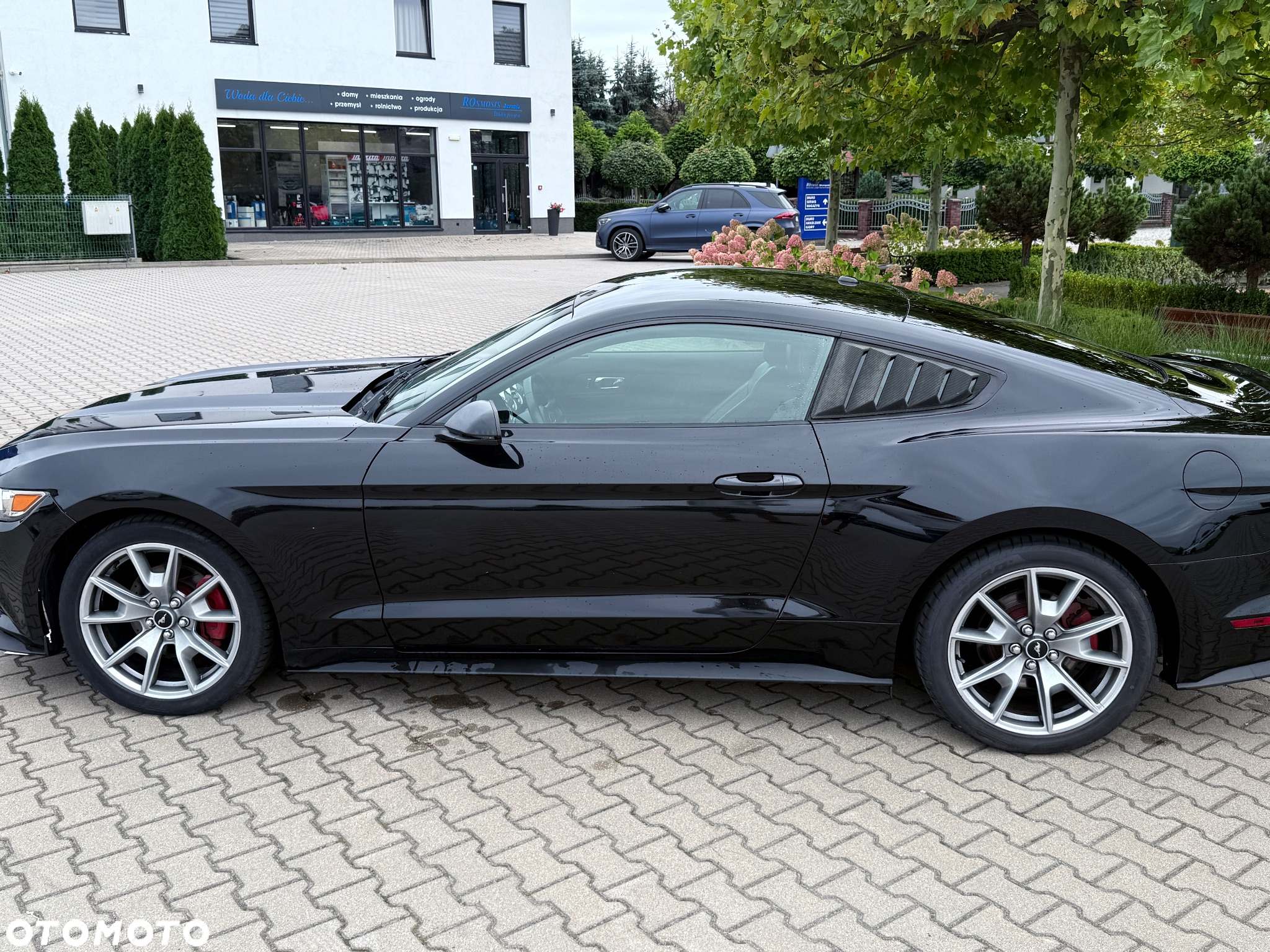 Ford Mustang 2.3 EcoBoost - 17