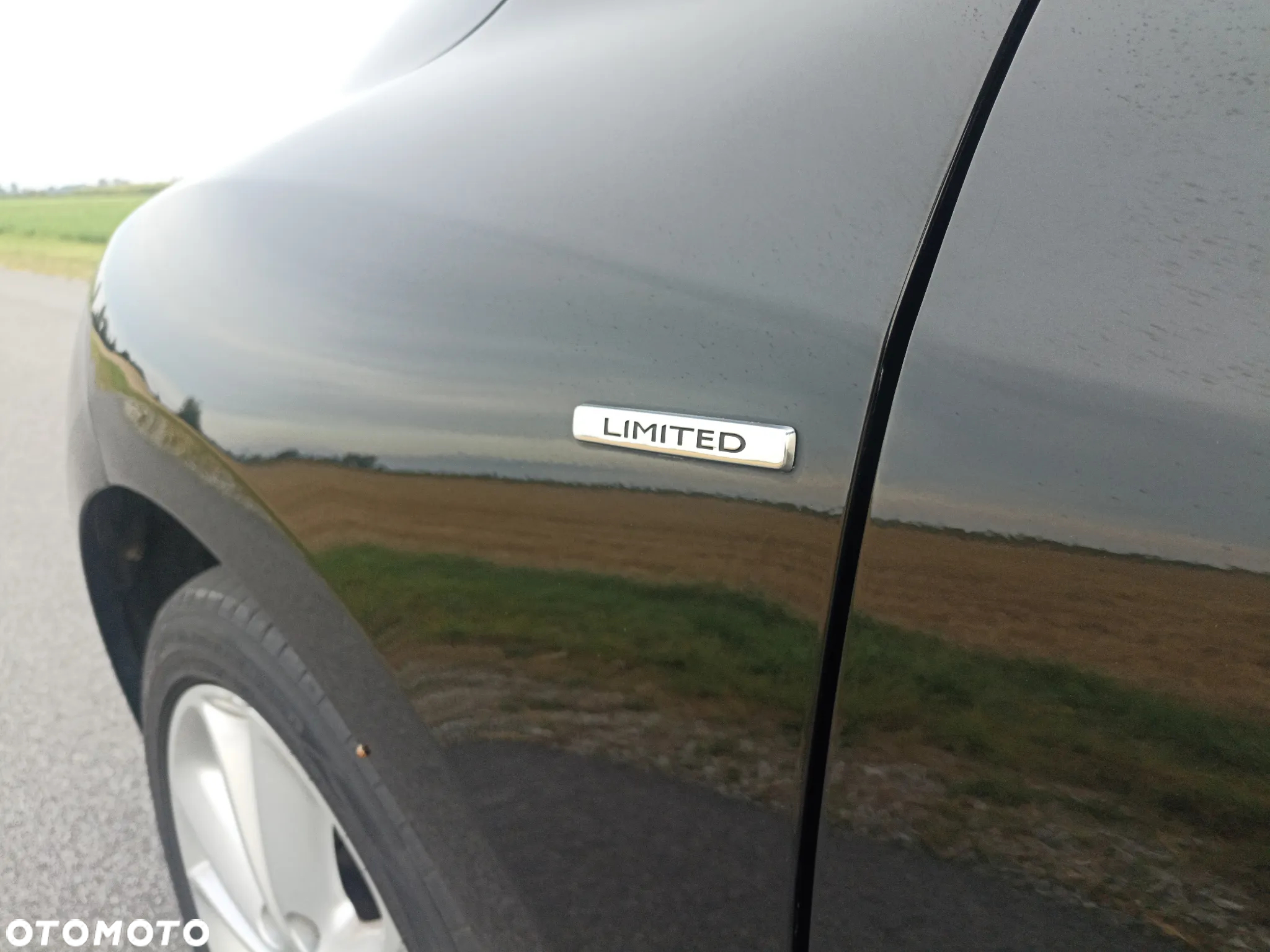 Renault Megane - 25