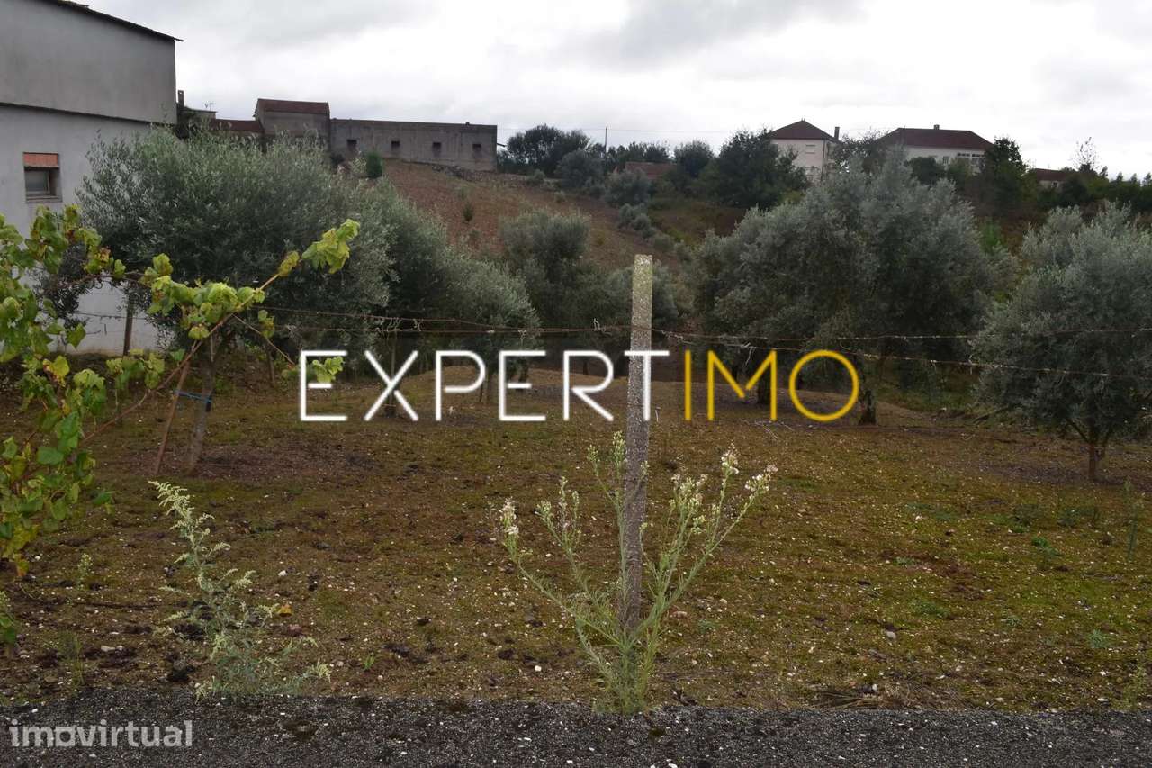 Terreno para construção - Grande imagem: 3/8