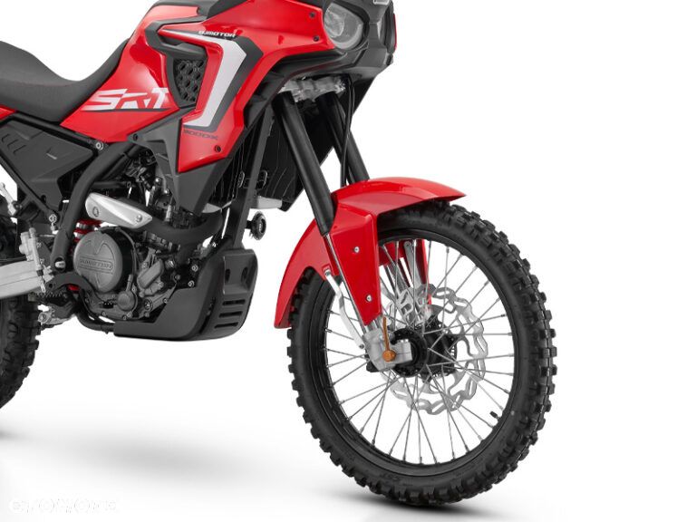 QJMOTOR SRT 300DX - 4