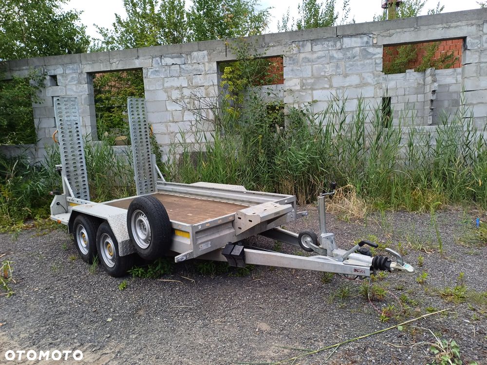 Wark - 1