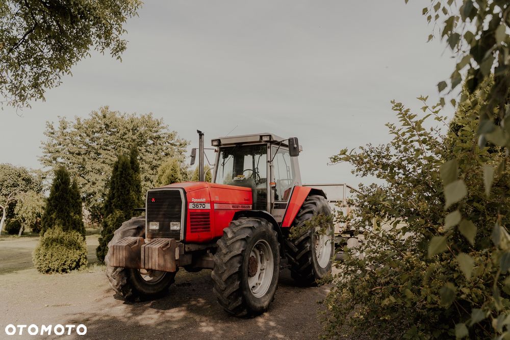 Massey Ferguson 3670 - 1