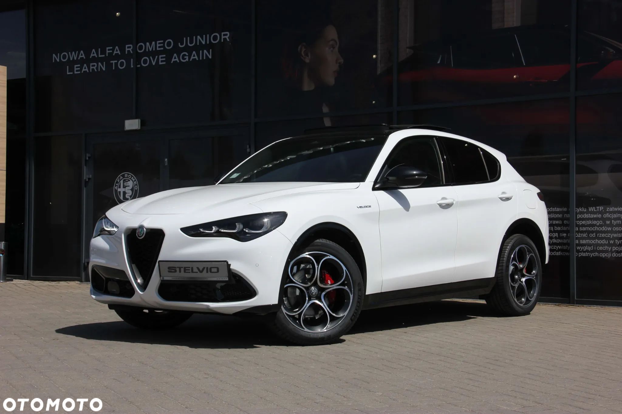 Alfa Romeo Stelvio 2.0 Turbo Veloce Q4 - 1