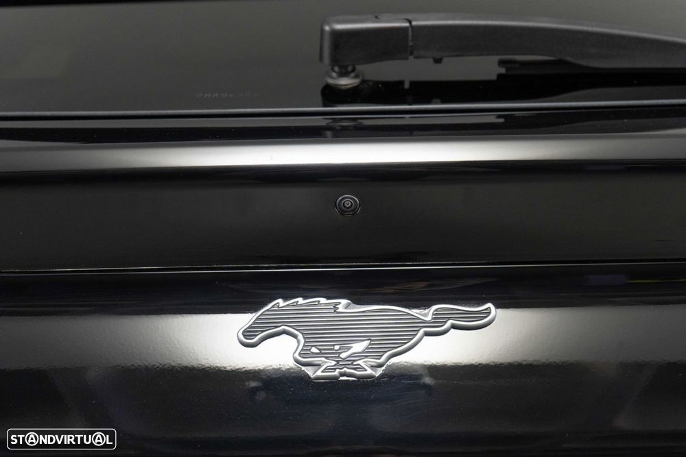 Ford Mustang Mach-E Standard - 15