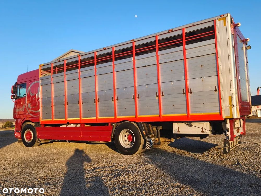 DAF XF 105.460 - 3