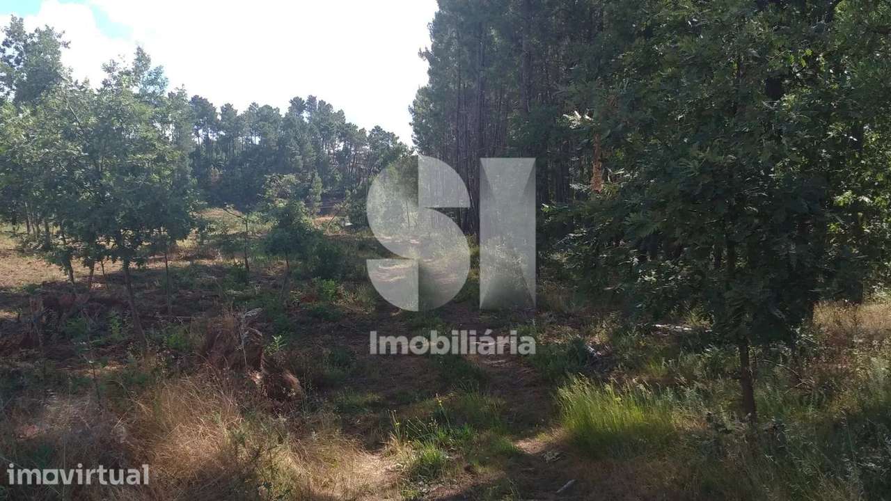 Lote para venda - Grande imagem: 2/6