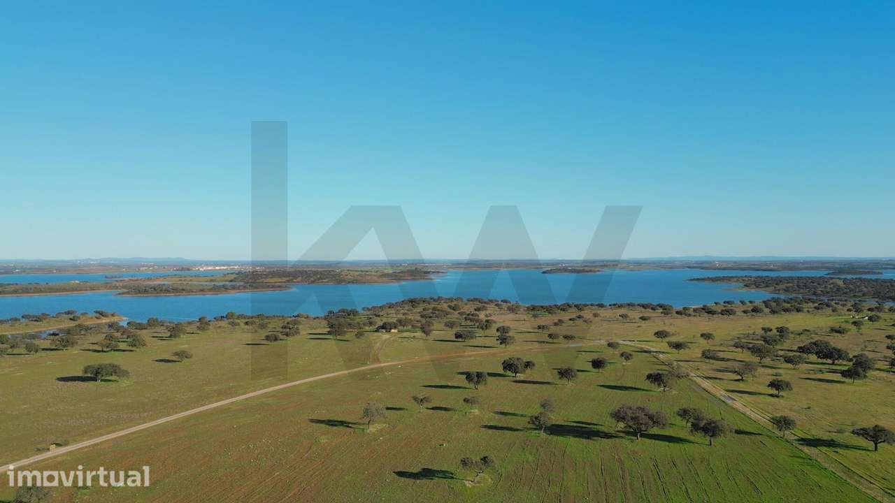 Herdade 17,3 ha com Frente de Água no Alqueva · Agroturismo Licenciado - Grande imagem: 2/52