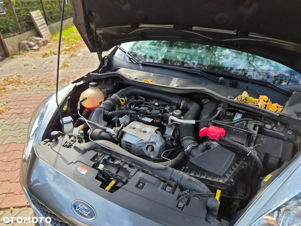 Ford Fiesta 1.0 EcoBoost Trend MPS6 - 11