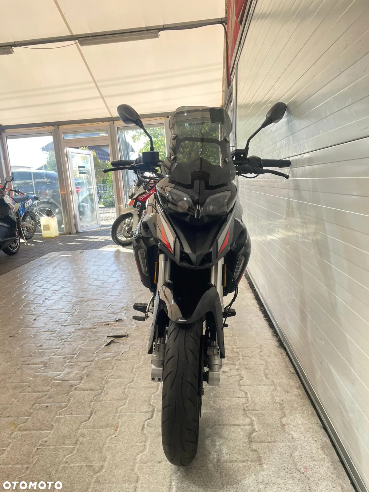 Benelli TRK 251 - 33