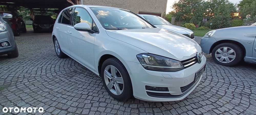 Volkswagen Golf - 21