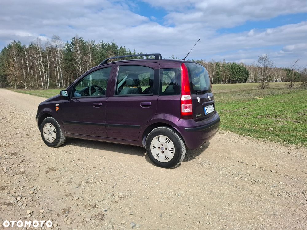 Fiat Panda 1.2 Active - 5