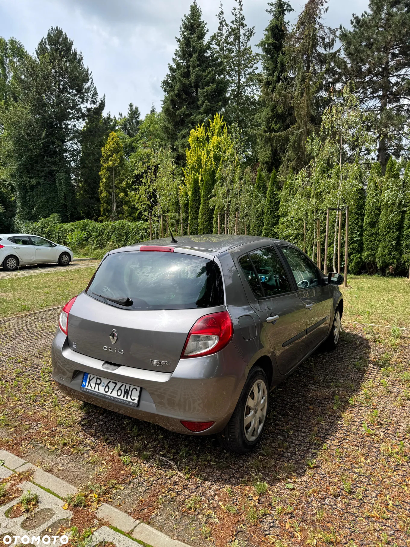 Renault Clio - 13