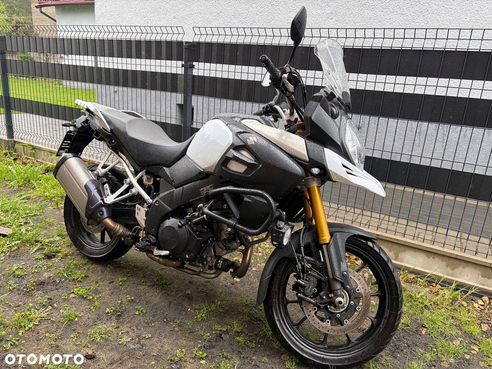 Suzuki DL - 10