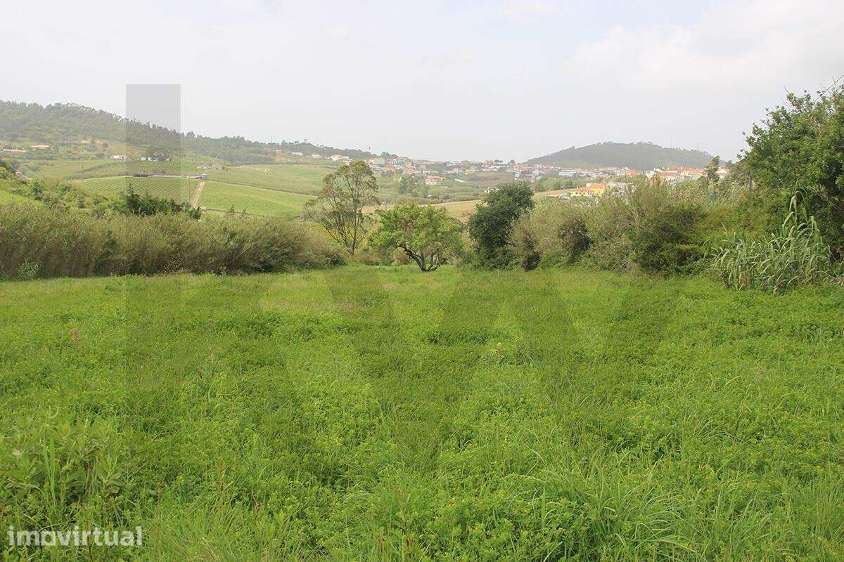 Terreno Misto com 8.250m2 | Barras – Mafra Entre Mafra, Ericeira, Torr - Grande imagem: 4/19