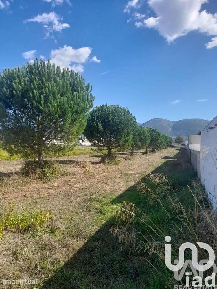 Terreno Agrícola em Aljubarrota - Grande imagem: 3/5