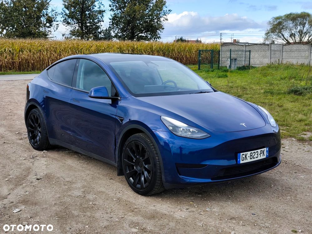 Tesla Model Y Standard - 1