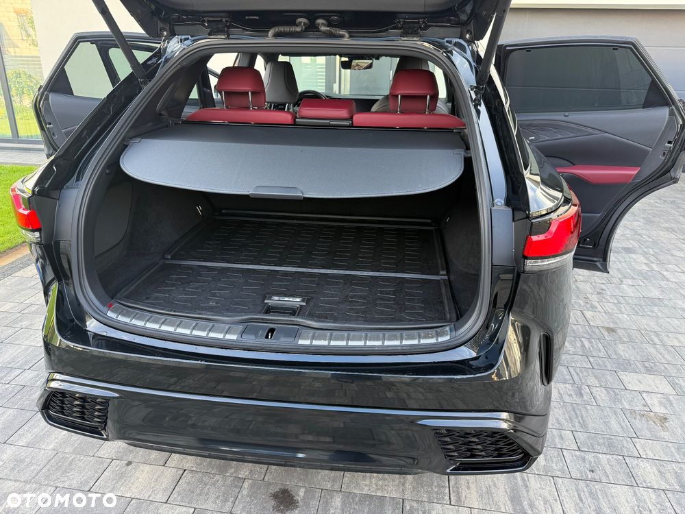 Lexus RX 500h F Sport - 14